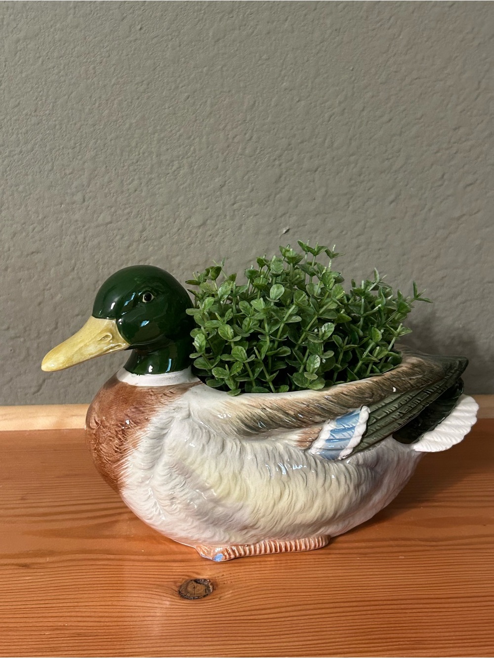 Otagiri Ceramic Mallard Duck Planter in Green, Brown, White